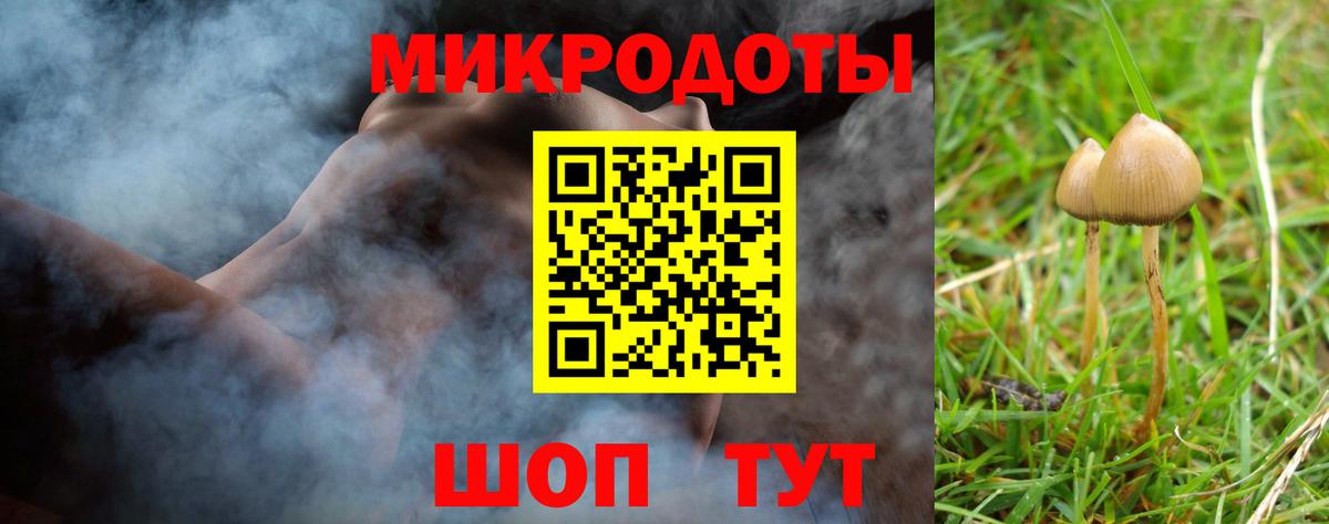 Псилоцибиновые грибы MAGIC MUSHROOMS  Псилоцибиновые грибы Cubensis  Новодвинск  Вход с VPN 